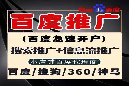 SEO关键词优化：某品牌逆袭的案例解析